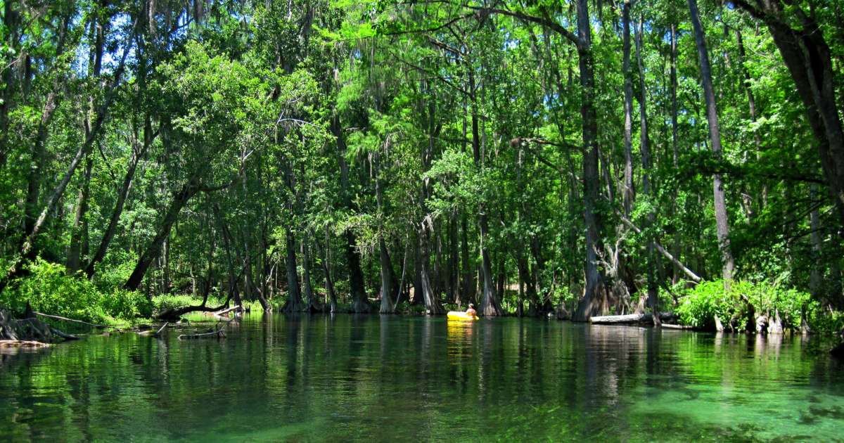 Ichetucknee Springs State Park near Fort White, FL