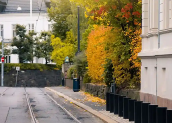 Fall street in a city