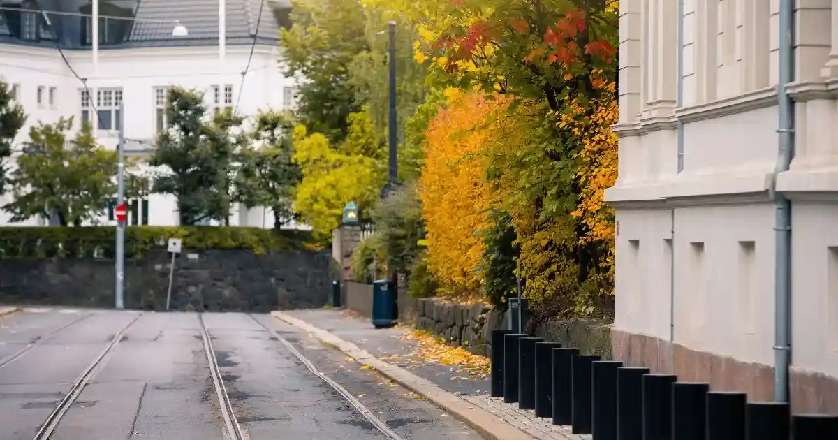 Fall street in a city