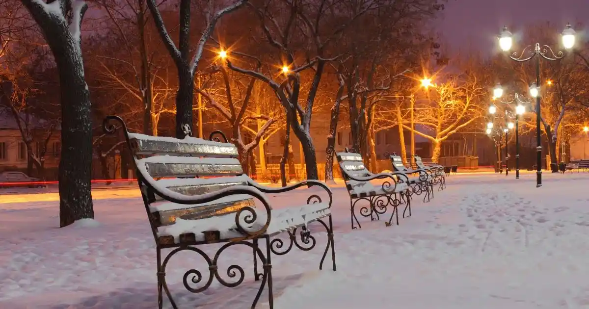 Benches on a winter day