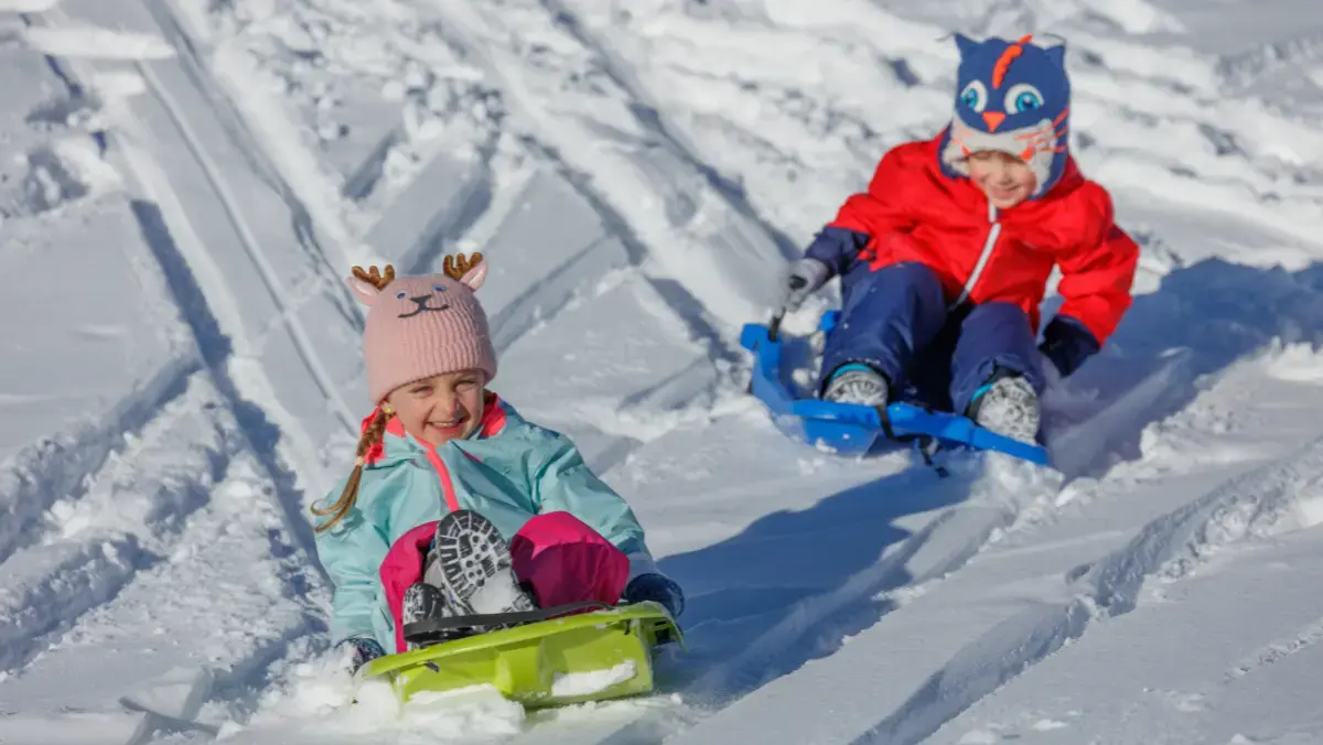 Two children joyfully riding sleds down a snowy hill, surrounded by a winter landscape.