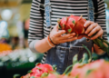 woman picking dragonfruit
