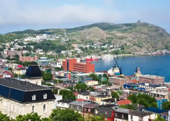 Colorful buildings nestled by a calm bay in St. John's, Newfoundland, with green hills and blue skies, conveying a vibrant and serene coastal scene.