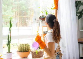 A woman wearing orange gloves and an apron cleans a large window in a bright room filled with various houseplants. The scene conveys a sense of freshness and productivity.