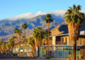 Street lined with tall palm trees against a backdrop of misty mountains. Modern buildings under a clear blue sky convey a serene, sunny vibe.