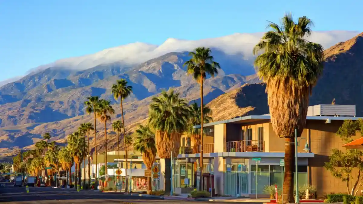 Street lined with tall palm trees against a backdrop of misty mountains. Modern buildings under a clear blue sky convey a serene, sunny vibe.