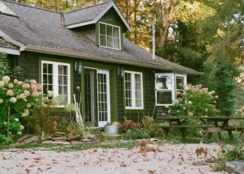 A charming, dark green cottage with white windows is surrounded by lush hydrangea bushes. A picnic table sits on the sandy yard, creating a peaceful, rustic vibe.