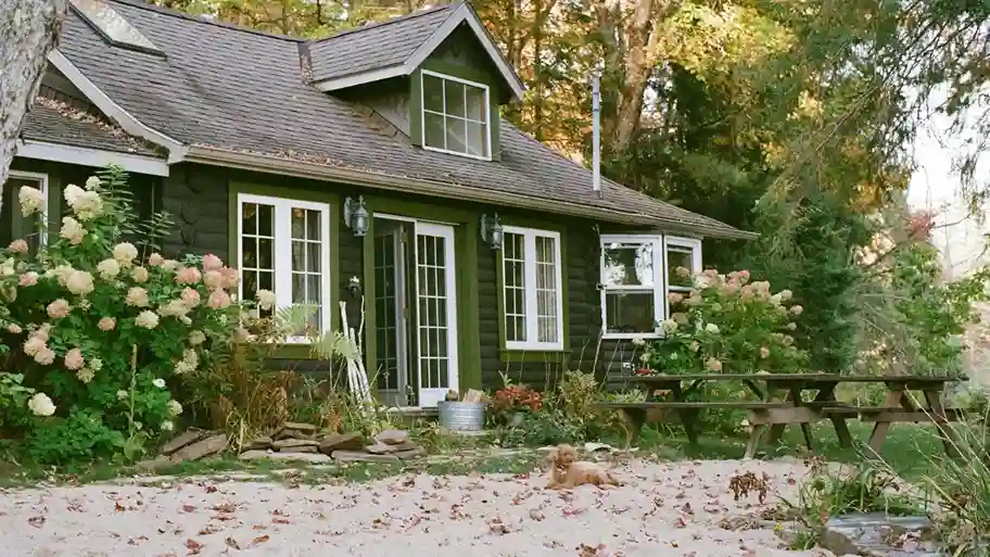 A charming, dark green cottage with white windows is surrounded by lush hydrangea bushes. A picnic table sits on the sandy yard, creating a peaceful, rustic vibe.