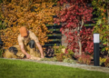 Person fixing yard lanscaping