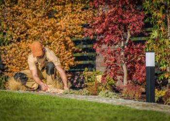 Person fixing yard lanscaping