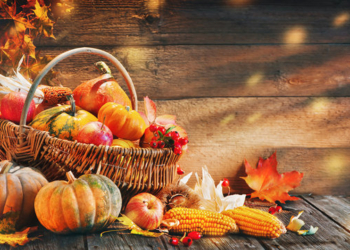 thanksgiving pumpkins and fall leaves