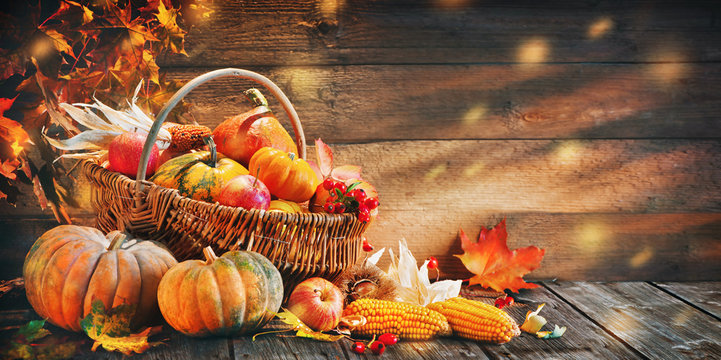 thanksgiving pumpkins and fall leaves